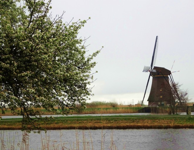 1-1オランダ　キンデルダイク風車
